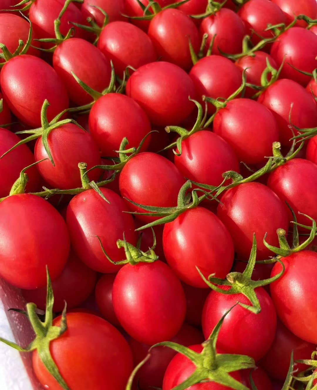 cherry tomatoes.jpg